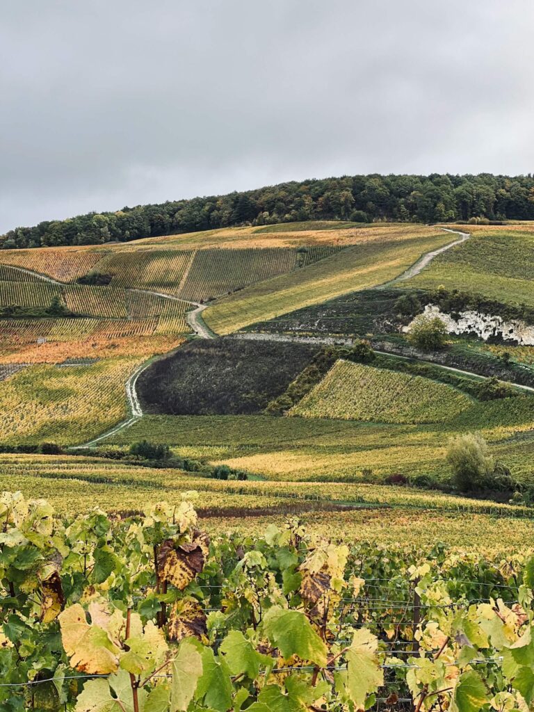 champagne france