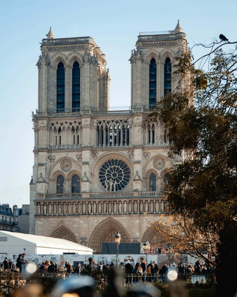 paris in christmas (1) notre dame